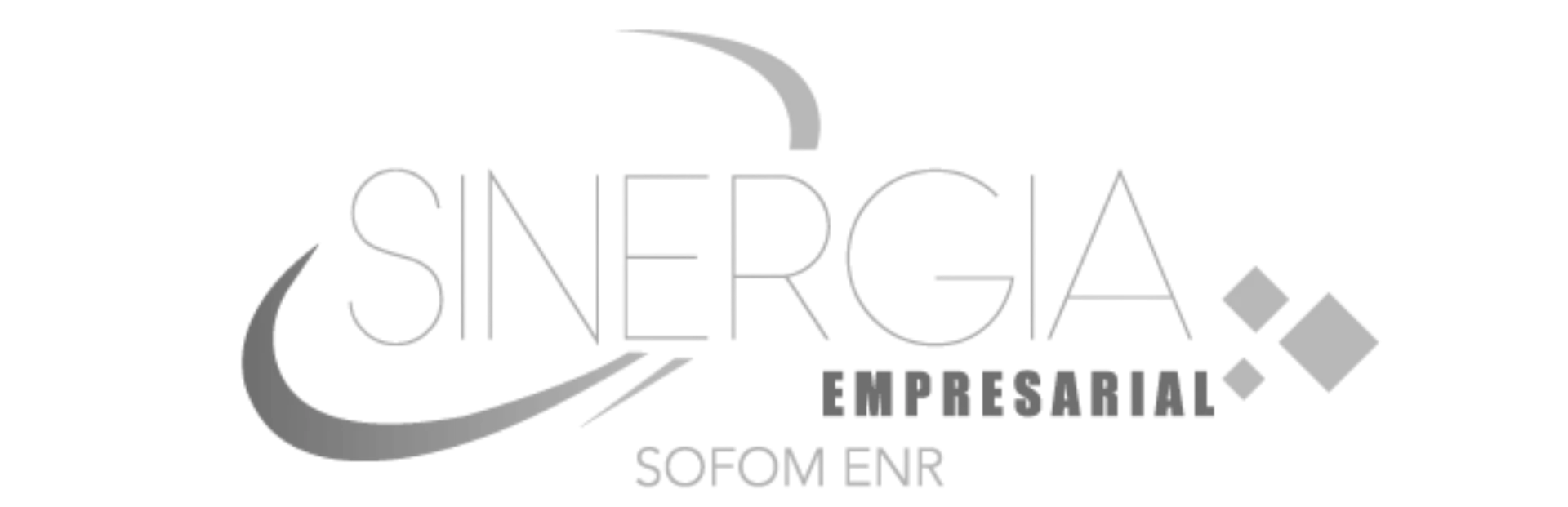 Sinergia Empresarial